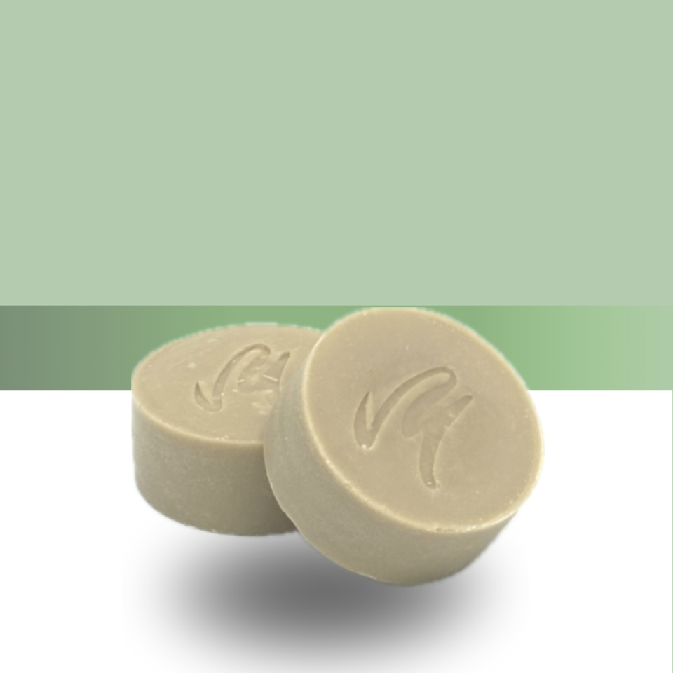 Festes Shampoo Sonne V2